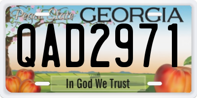 GA license plate QAD2971