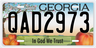 GA license plate QAD2973
