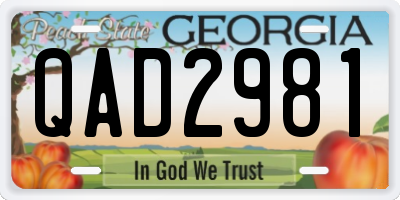 GA license plate QAD2981
