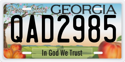 GA license plate QAD2985