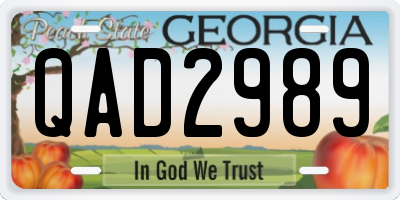 GA license plate QAD2989