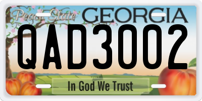 GA license plate QAD3002