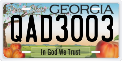 GA license plate QAD3003