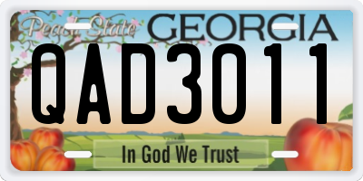 GA license plate QAD3011