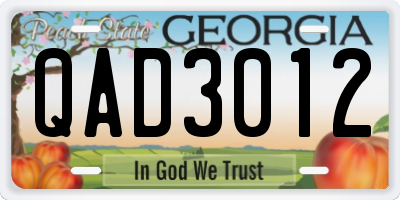 GA license plate QAD3012