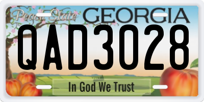 GA license plate QAD3028