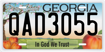GA license plate QAD3055
