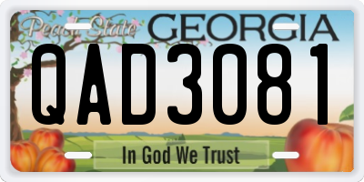 GA license plate QAD3081