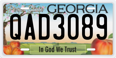GA license plate QAD3089