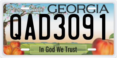 GA license plate QAD3091