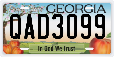 GA license plate QAD3099