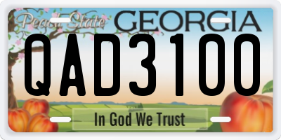 GA license plate QAD3100