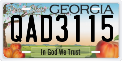 GA license plate QAD3115