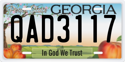 GA license plate QAD3117