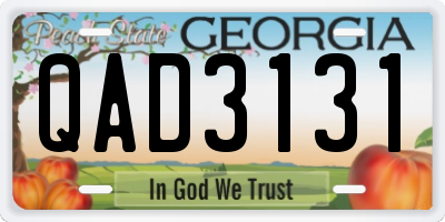 GA license plate QAD3131