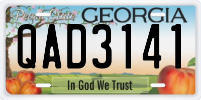 GA license plate QAD3141