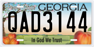 GA license plate QAD3144