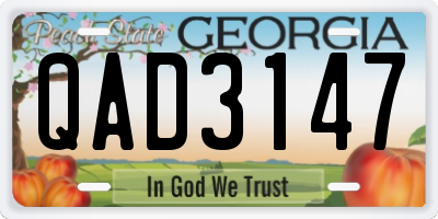 GA license plate QAD3147