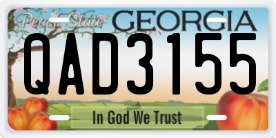 GA license plate QAD3155
