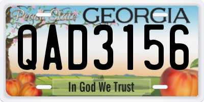 GA license plate QAD3156