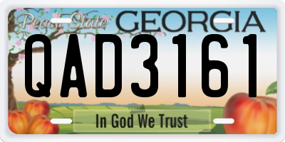 GA license plate QAD3161