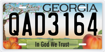 GA license plate QAD3164