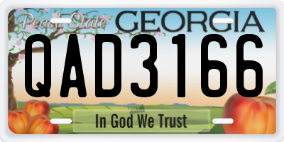 GA license plate QAD3166