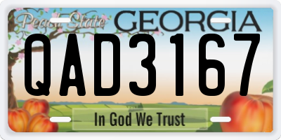 GA license plate QAD3167