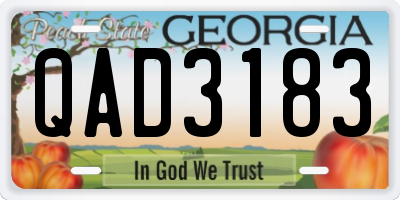 GA license plate QAD3183