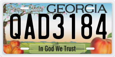 GA license plate QAD3184