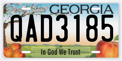 GA license plate QAD3185