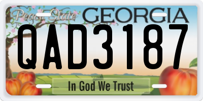GA license plate QAD3187