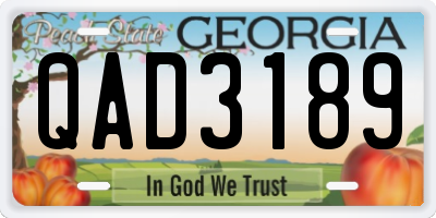 GA license plate QAD3189