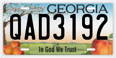 GA license plate QAD3192