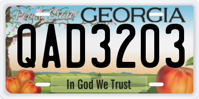 GA license plate QAD3203