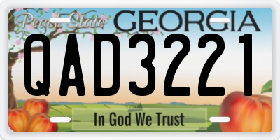 GA license plate QAD3221