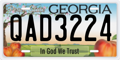 GA license plate QAD3224