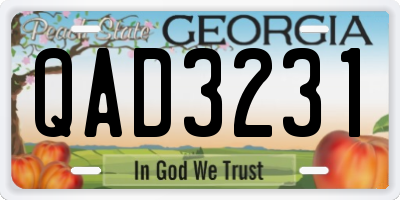 GA license plate QAD3231