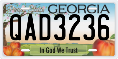 GA license plate QAD3236