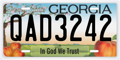 GA license plate QAD3242