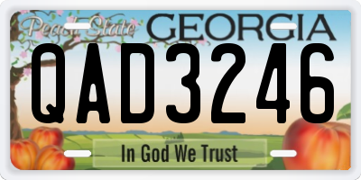 GA license plate QAD3246