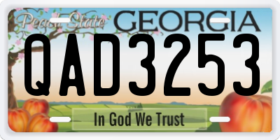 GA license plate QAD3253