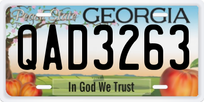 GA license plate QAD3263