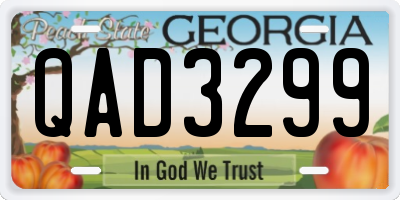 GA license plate QAD3299