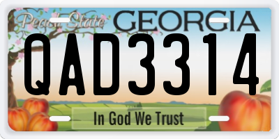 GA license plate QAD3314