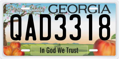 GA license plate QAD3318