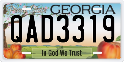 GA license plate QAD3319