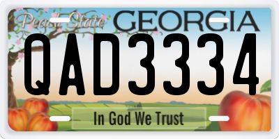 GA license plate QAD3334