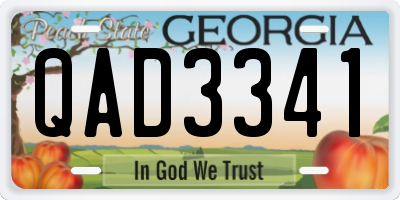 GA license plate QAD3341