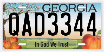 GA license plate QAD3344